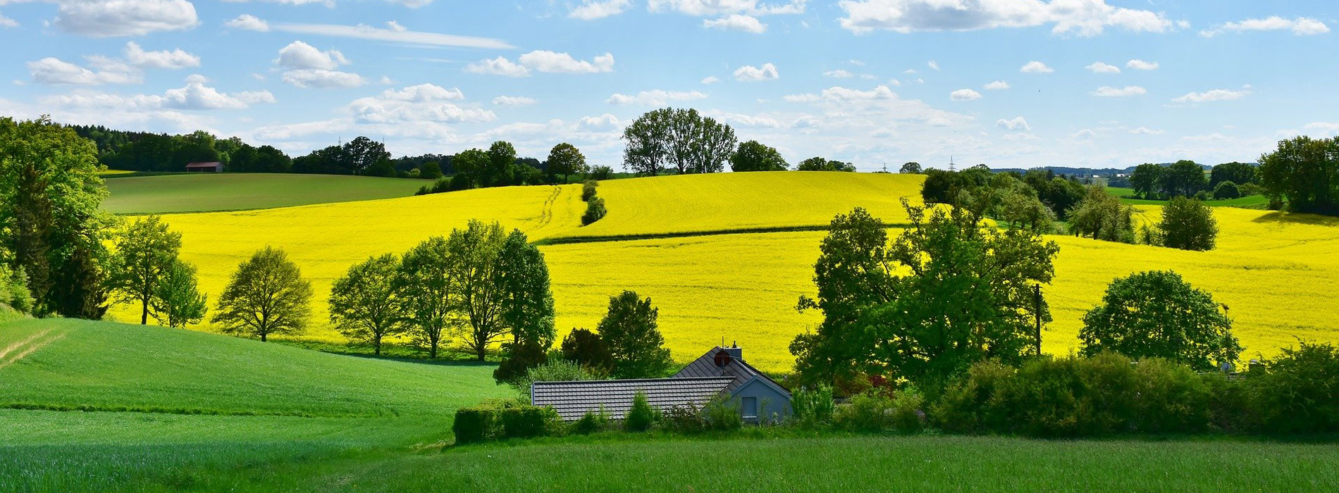 La spécificité d'un terroir